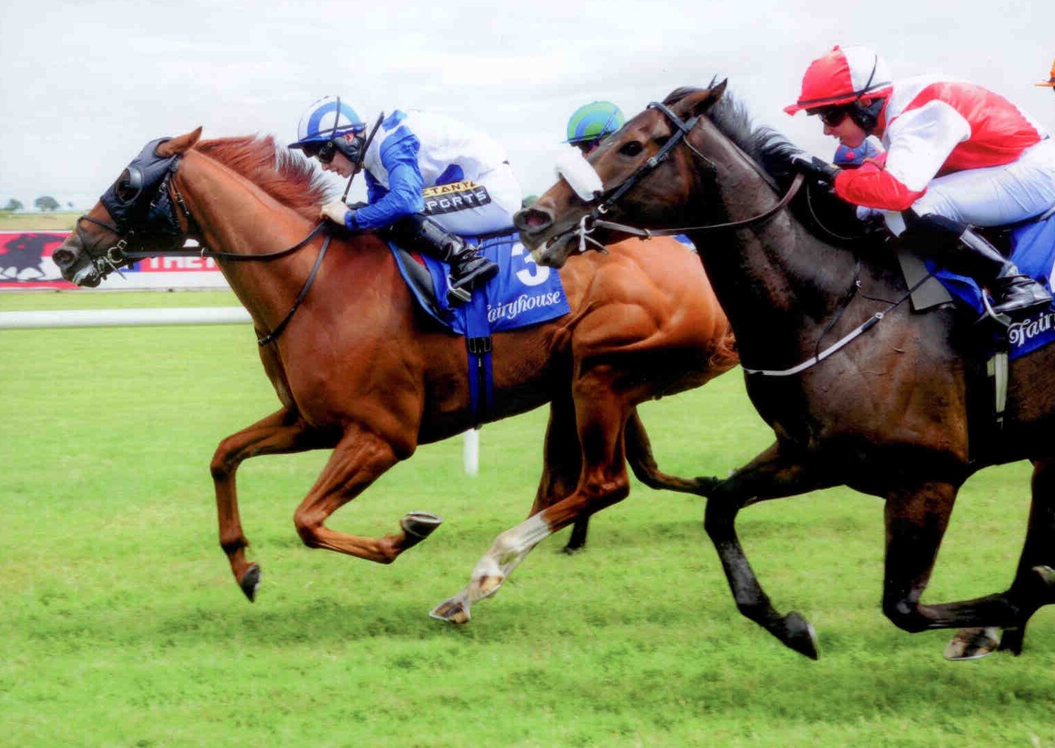 TRINITY FORCE battles back to provide Ger and Colin with a double at Fairyhouse on July 5th, 2015